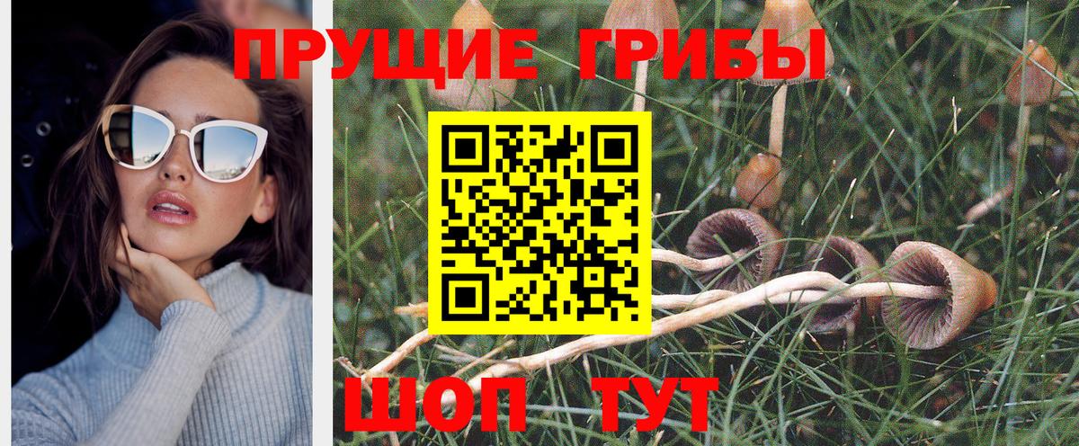 Галлюциногенные грибы мухоморы  Вход с VPN  Учалы 